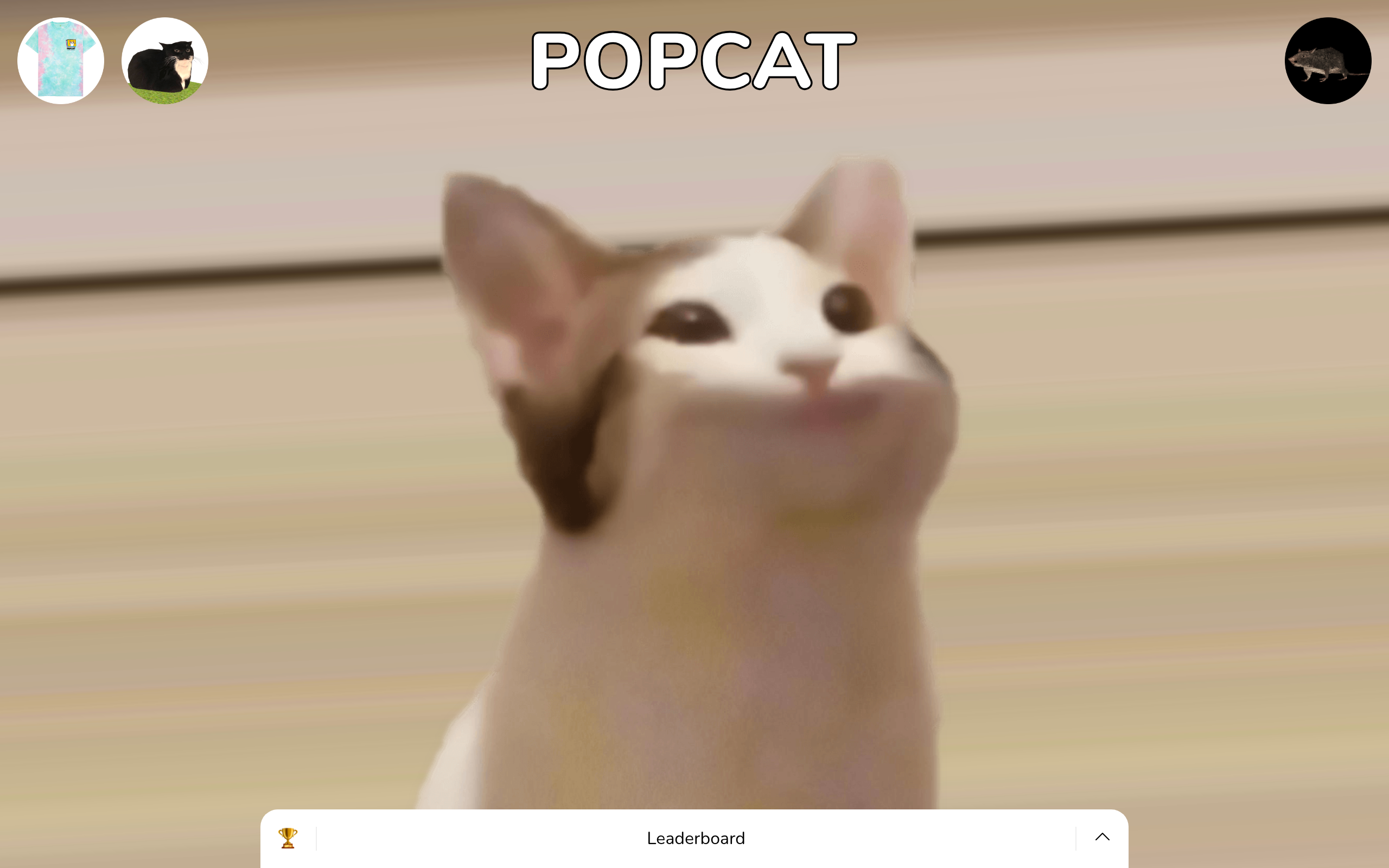 Screenshot von POPCAT