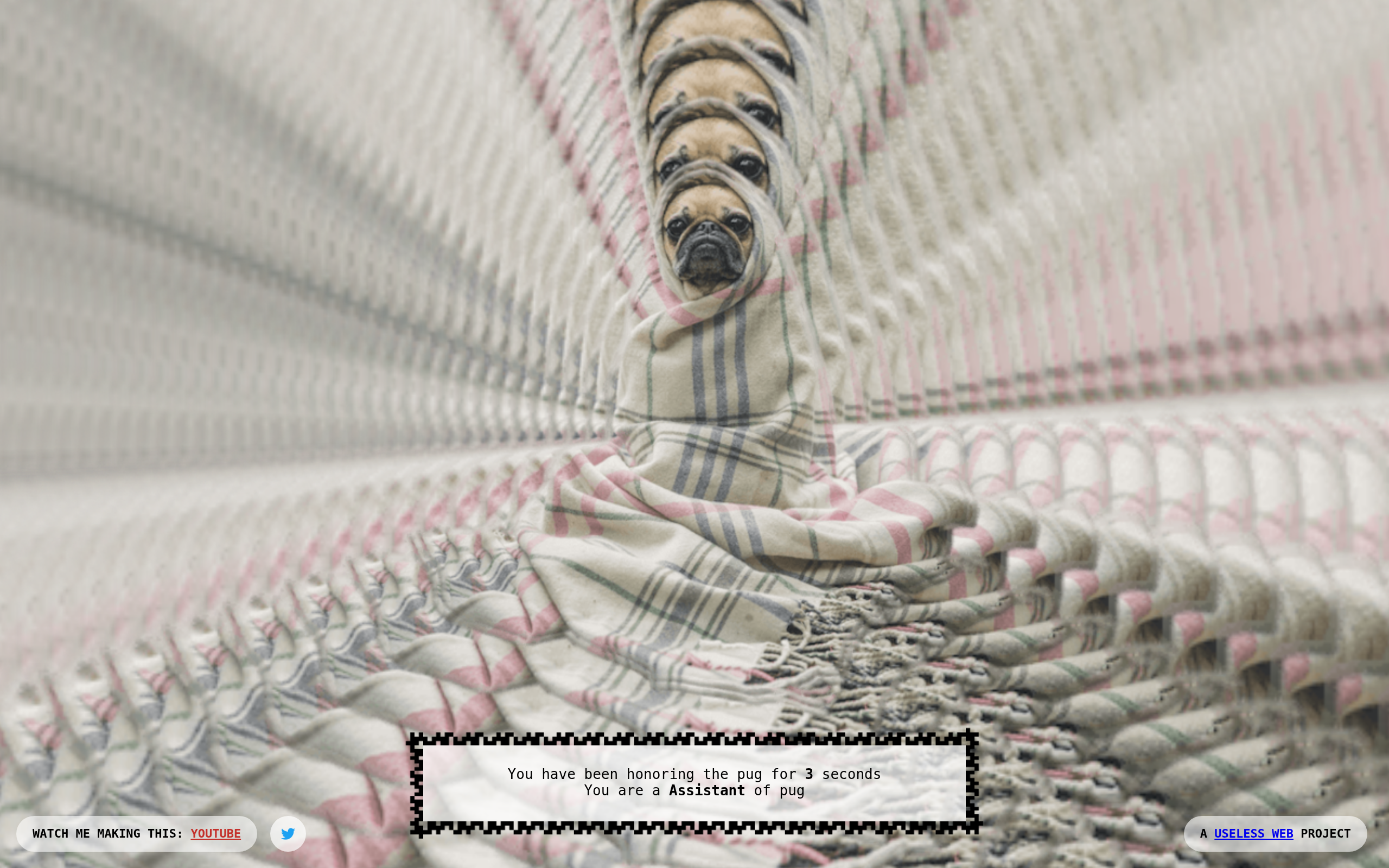 Screenshot von The Pug In A Rug
